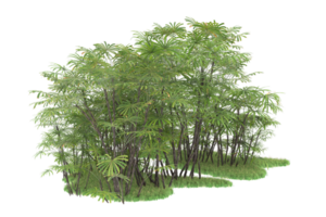 forêt réaliste isolée sur fond transparent. rendu 3d - illustration png