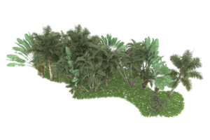 floresta realista isolada em fundo transparente. renderização 3D - ilustração png