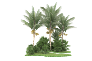 Realistic forest isolated on transparent background. 3d rendering - illustration png