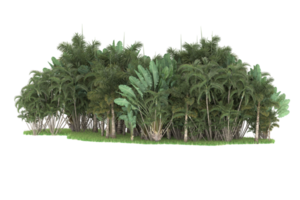 realistico foresta isolato su trasparente sfondo. 3d interpretazione - illustrazione png