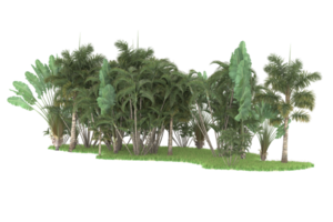 Realistic forest isolated on transparent background. 3d rendering - illustration png