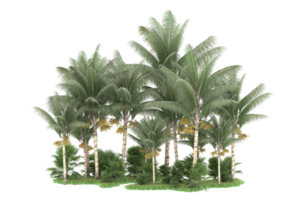 Realistic forest isolated on transparent background. 3d rendering - illustration png