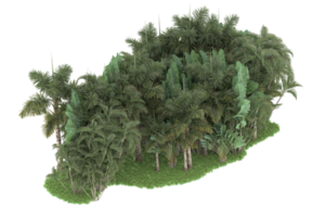 Realistic forest isolated on transparent background. 3d rendering - illustration png