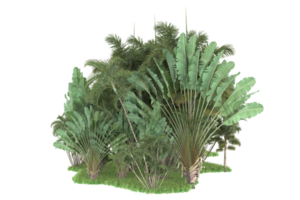 forêt réaliste isolée sur fond transparent. rendu 3d - illustration png