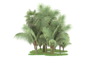 floresta realista isolada em fundo transparente. renderização 3D - ilustração png