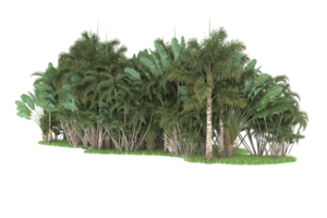 floresta realista isolada em fundo transparente. renderização 3D - ilustração png