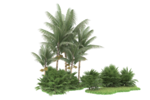 forêt réaliste isolée sur fond transparent. rendu 3d - illustration png