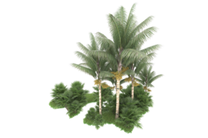 Realistic forest isolated on transparent background. 3d rendering - illustration png