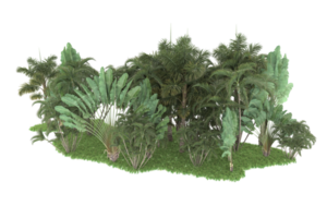 floresta realista isolada em fundo transparente. renderização 3D - ilustração png