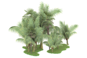 forêt réaliste isolée sur fond transparent. rendu 3d - illustration png