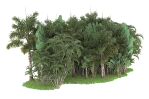 Realistic forest isolated on transparent background. 3d rendering - illustration png