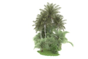 Realistic forest isolated on transparent background. 3d rendering - illustration png