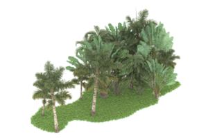 Realistic forest isolated on transparent background. 3d rendering - illustration png