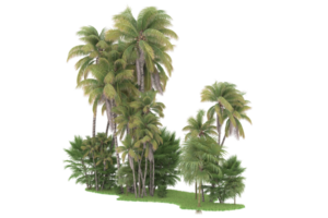 Realistic forest isolated on transparent background. 3d rendering - illustration png