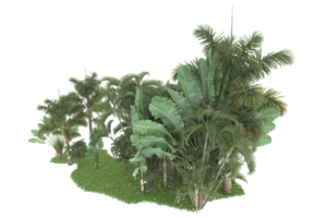 realistico foresta isolato su trasparente sfondo. 3d interpretazione - illustrazione png