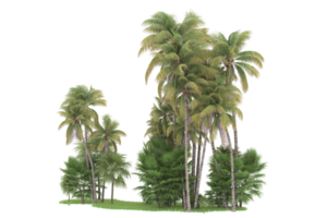 Realistic forest isolated on transparent background. 3d rendering - illustration png