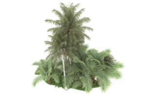 Realistic forest isolated on transparent background. 3d rendering - illustration png
