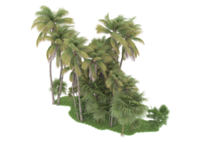 Realistic forest isolated on transparent background. 3d rendering - illustration png