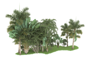 realistico foresta isolato su trasparente sfondo. 3d interpretazione - illustrazione png