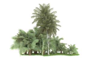 Realistic forest isolated on transparent background. 3d rendering - illustration png