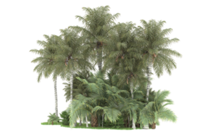 Realistic forest isolated on transparent background. 3d rendering - illustration png