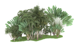 Realistic forest isolated on transparent background. 3d rendering - illustration png