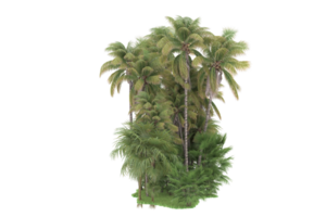 floresta realista isolada em fundo transparente. renderização 3D - ilustração png