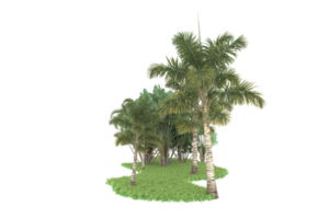 Realistic forest isolated on transparent background. 3d rendering - illustration png