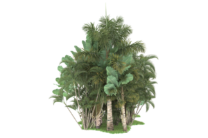 Realistic forest isolated on transparent background. 3d rendering - illustration png