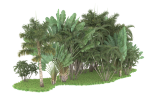 Realistic forest isolated on transparent background. 3d rendering - illustration png