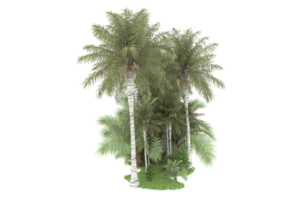 Realistic forest isolated on transparent background. 3d rendering - illustration png