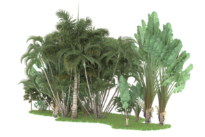 realistico foresta isolato su trasparente sfondo. 3d interpretazione - illustrazione png