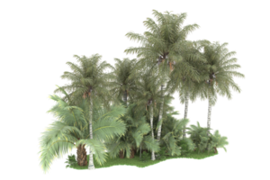 Realistic forest isolated on transparent background. 3d rendering - illustration png