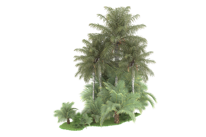 Realistic forest isolated on transparent background. 3d rendering - illustration png