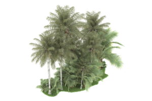 realistico foresta isolato su trasparente sfondo. 3d interpretazione - illustrazione png