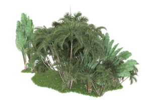 realistico foresta isolato su trasparente sfondo. 3d interpretazione - illustrazione png