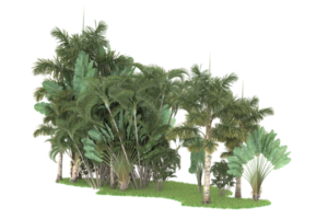 Realistic forest isolated on transparent background. 3d rendering - illustration png