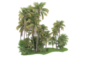 Realistic forest isolated on transparent background. 3d rendering - illustration png