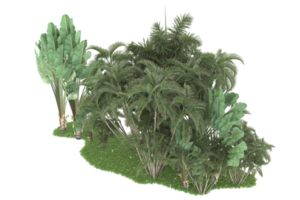 forêt réaliste isolée sur fond transparent. rendu 3d - illustration png