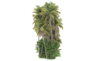 forêt réaliste isolée sur fond transparent. rendu 3d - illustration png