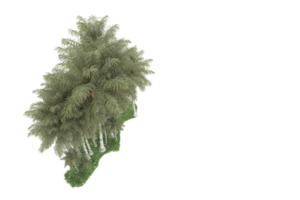 forêt réaliste isolée sur fond transparent. rendu 3d - illustration png