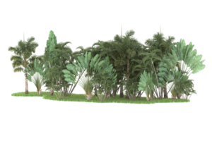 Realistic forest isolated on transparent background. 3d rendering - illustration png