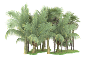 Realistic forest isolated on transparent background. 3d rendering - illustration png