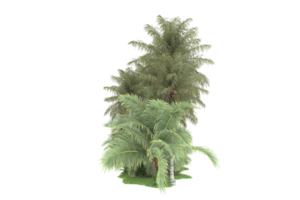 Realistic forest isolated on transparent background. 3d rendering - illustration png