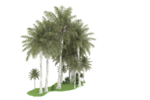 Realistic forest isolated on transparent background. 3d rendering - illustration png