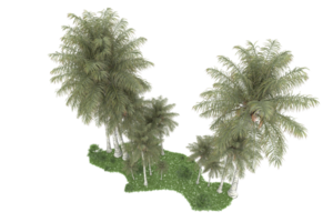 Realistic forest isolated on transparent background. 3d rendering - illustration png