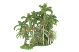 forêt réaliste isolée sur fond transparent. rendu 3d - illustration png