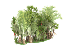 forêt réaliste isolée sur fond transparent. rendu 3d - illustration png