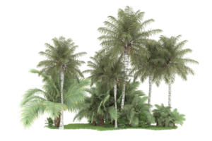 Realistic forest isolated on transparent background. 3d rendering - illustration png