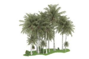 Realistic forest isolated on transparent background. 3d rendering - illustration png